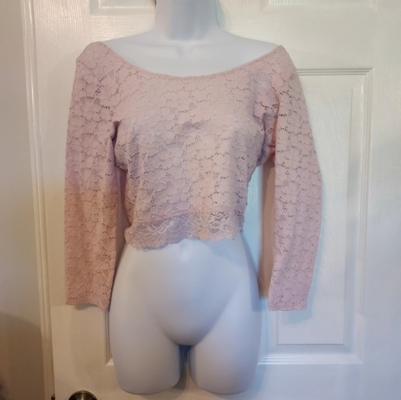 Gilly Hicks Sheer Lace Crop Top Large Blush Pink coquette Romantic Ballet - Picture 1 of 11